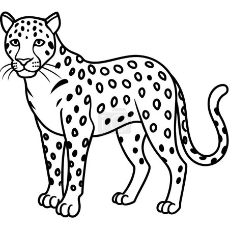 Amur Leopard stands icon vector illustration