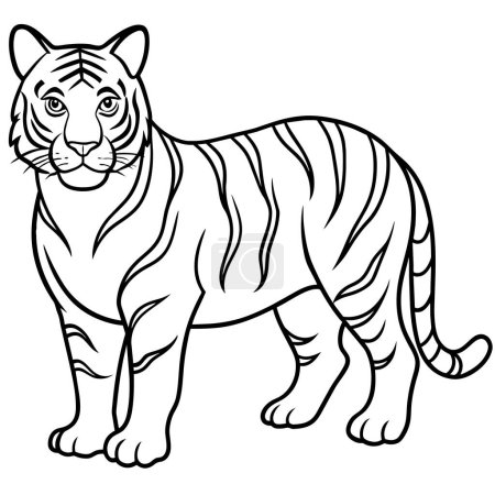 Amur Tiger learns icon vector illustration
