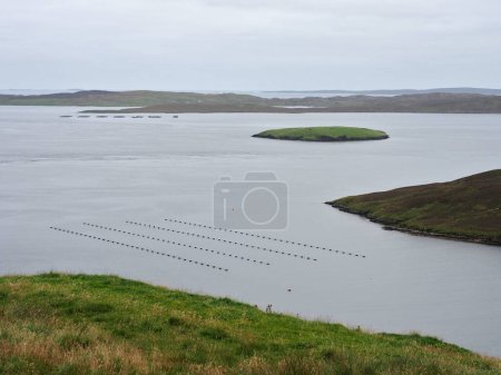 Seaside view. Sea landscape. Shetland Islands. Scotland. Shetland, also called the Shetland Islands, is an archipelago in Scotland lying between Orkney, the Faroe Islands, and Norway. It is the northernmost region of the United Kingdom.