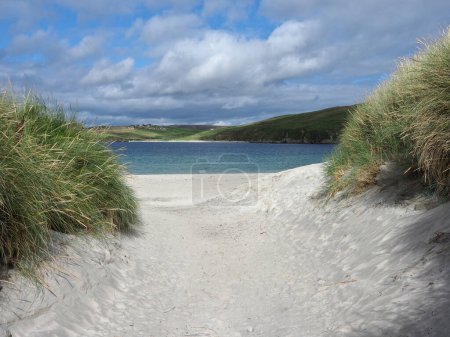 Foto de Vista al mar. Paisaje marino. Islas Shetland. Escocia. Shetland, también llamado las Islas Shetland, es un archipiélago en Escocia que se encuentra entre las Orcadas, las Islas Feroe y Noruega. Es la región más septentrional del Reino Unido. - Imagen libre de derechos