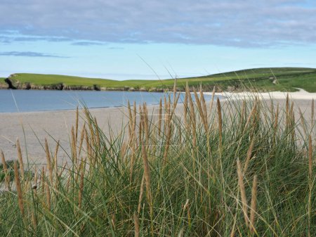 Meerblick. Meereslandschaft. Shetlandinseln. Schottland. Shetland, auch Shetland-Inseln genannt, ist ein schottisches Archipel, das zwischen Orkney, den Färöern und Norwegen liegt. Es ist die nördlichste Region des Vereinigten Königreichs.