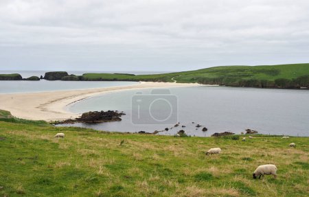 Der Strand von St. Niners, ein Tombolo auf den Shetlandinseln. St. Ninian 's (oder St. Ninian' s) Isle ist eine kleine Insel, die durch den größten Tombolo des Vereinigten Königreichs mit der Südwestküste des Festlandes, den Shetlandinseln in Schottland, verbunden ist..
