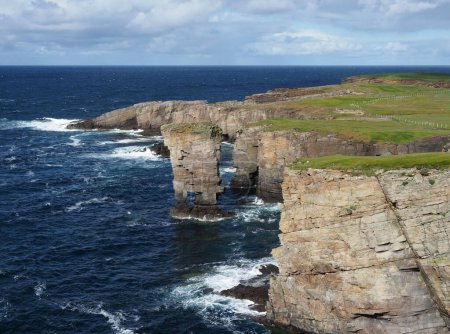 Yesnaby Castle sea stack and cliffs. Orkney islands. Scotland. A spectacular Old Red Sandstone coastal cliff scenery. The area is popular with climbers because of Yesnaby Castle, a two-legged sea stack.
