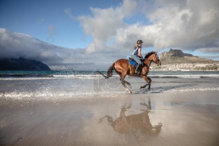 Teenage girl cantering brown horse along shoreline at beach in sunshine with beautiful sea in background