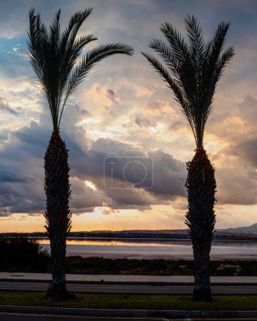 Puesta de sol enmarcada por palmeras en Chipre, paisaje acuático sereno