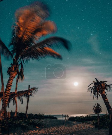 Mondbeleuchteter Strand mit Palmen unter Sternenhimmel in Tulum