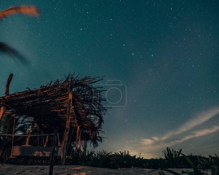 Plage au clair de lune avec palmiers sous le ciel étoilé à Tulum
