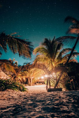 Photo for Moonlit beach with palms under starry sky in Tulum - Royalty Free Image