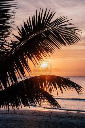 Puesta de sol sobre la playa de Tulum con silueta de palmera inclinada