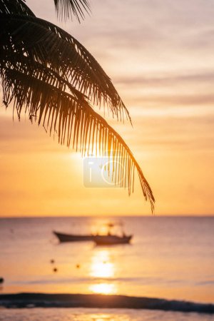 Puesta de sol sobre la playa de Tulum con silueta de palmera inclinada