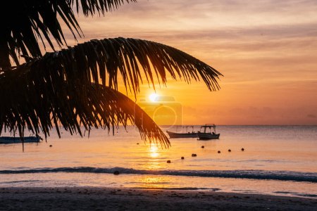 Sonnenuntergang über dem Strand von Tulum mit der Silhouette einer schiefen Palme