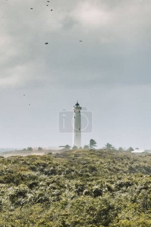 Lighthouse stands tall amidst lush vegetation under cloudy skies, Cozumel, Mexico