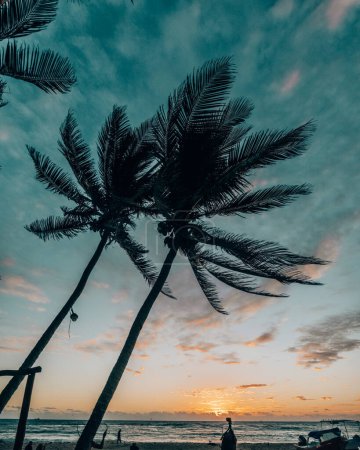 Silhouetted palm trees against a dramatic sunset sky