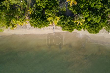 Luftaufnahme eines ruhigen Strandes mit üppigem Grün und Palmen, Martinique