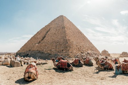 Chameaux et grandes pyramides de Gizeh, Égypte