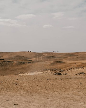 Camellos en el horizonte, colinas arenosas de Giza, Egipto