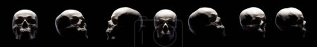 Modelo del cráneo humano con ojos rojos aislados sobre fondo negro con camino de recorte. Concepto de terror, fisiología, aprendizaje y dibujo
.