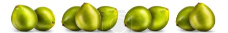Gruppe grüner Pomelo-Zitrusfrüchte isoliert auf weißem Hintergrund.