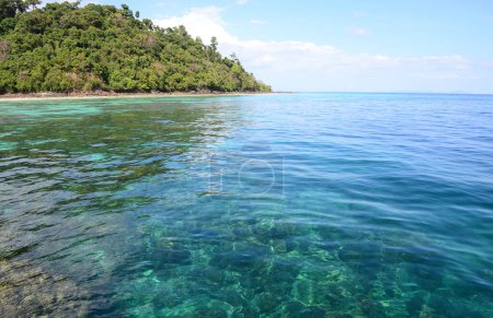 Téléchargez les photos : Koh Rok (île Rok) est un petit archipel dans le sud de la Thaïlande dans la mer d'Andaman. Il est situé à proximité de l'île de Koh Lanta et est une destination de plongée avec tuba haut de gamme, krabi, Thaïlande - en image libre de droit