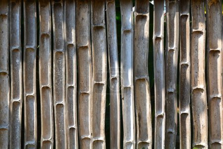 Téléchargez les photos : Vieille texture de bambou ton brun pour le fond - en image libre de droit