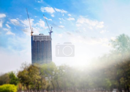 about the tower crane at construction site behind the tree and sunshine