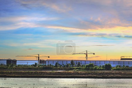 the construction site and tower cranes at a factory located among the agriculture