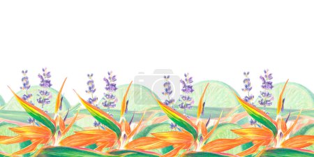 Foto de Acuarela ilustración aislada de Strelitzia reginae y hojas, lavanda, cal, composición de flores tropicales sobre un fondo blanco - Imagen libre de derechos