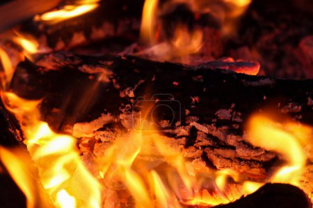 Nahaufnahme von Glut mit Flammen, die in Holzfeuer brennen