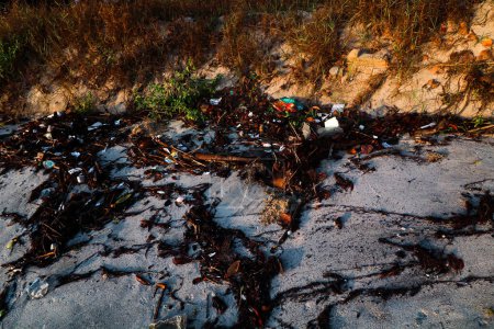 Residuos esparcidos por la playa.