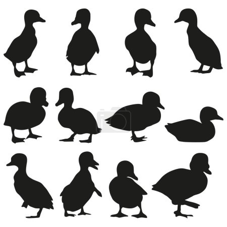 Illustration for Cute duckling silhouette collection - Royalty Free Image