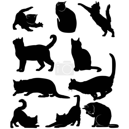 Ilustración de Silueta de gatos sobre fondo blanco - Imagen libre de derechos
