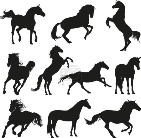 Illustration for Elegant Horses silhouette collection - Royalty Free Image