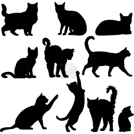 Téléchargez les illustrations : Silhouette de chat sur fond blanc - en licence libre de droit