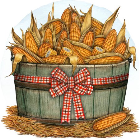 Watercolor hand drawn corn cobs composition