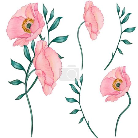Téléchargez les illustrations : Waercolor décoration florale de pavot art déco - en licence libre de droit