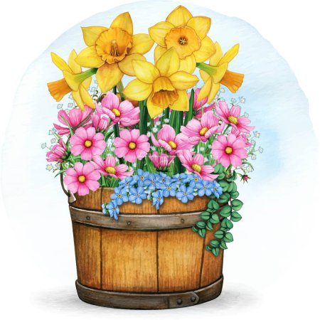 Illustration for Watercolor spring flower planter - Royalty Free Image
