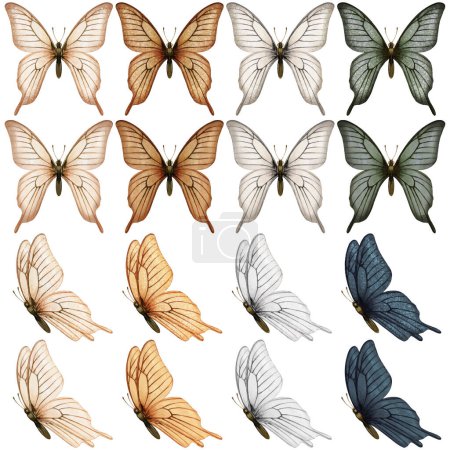 Ilustración de Colección hermosa mariposa Watercolo - Imagen libre de derechos