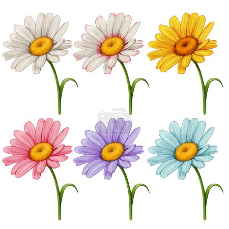 Téléchargez les illustrations : Ensemble aquarelle de fleurs de marguerite colorées - en licence libre de droit