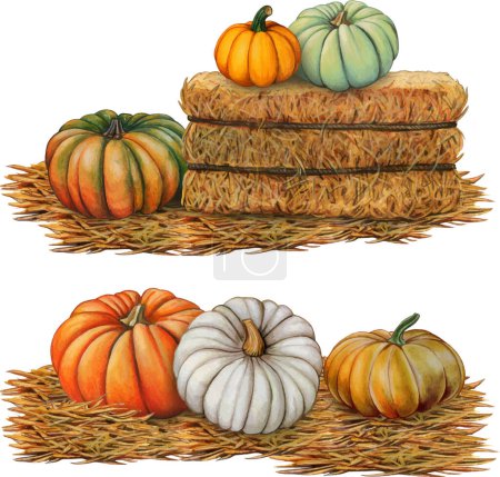 Illustration for Watercolor hand drawn hay bales with pumpkins - Royalty Free Image