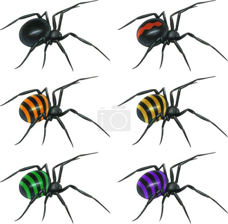 aquarelle dessinée à la main araignée venimeuse réaliste