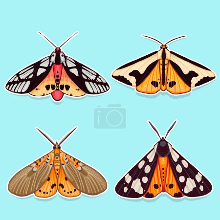 Collection entomologique colorée de papillons vecteurs exotiques