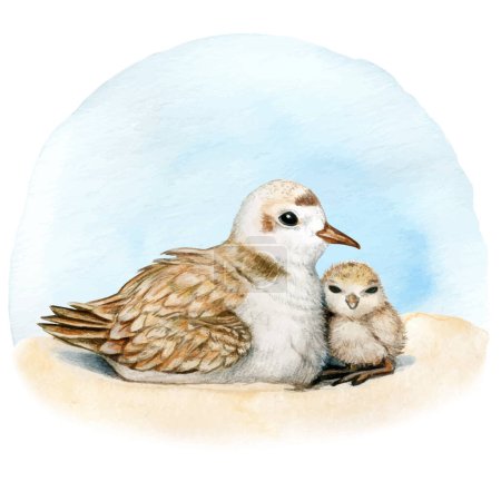 Watercolor plover nest on the sand mother and son