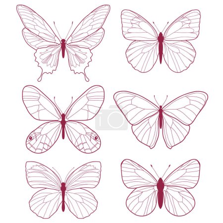 Illustration for Pastel outline butterfly icons - Royalty Free Image