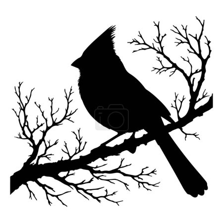 Cardinal Bird black Silhouette vector isolated on a white background