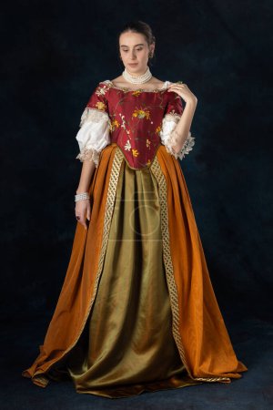 Foto de Mujer renacentista, Tudor, georgiana o de fantasía alta con un corpiño bordado con una camiseta de lino y una falda larga de dos piezas sobre un fondo de estudio - Imagen libre de derechos