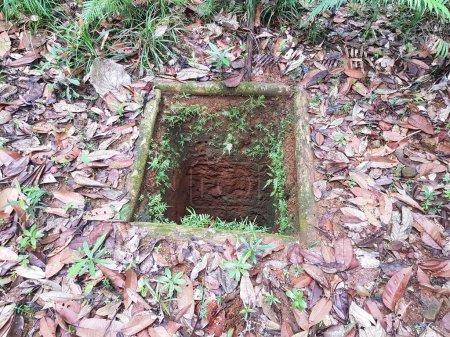 Abandoned well in the middle of forest