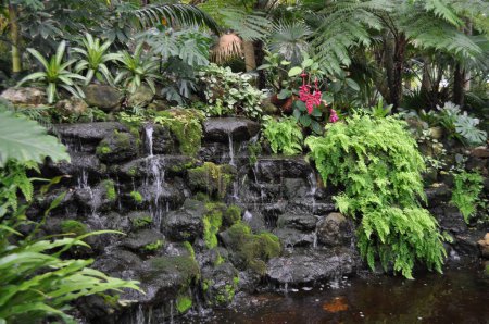 A Waterfall at McKee Gardens