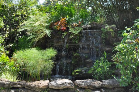 Une cascade dans les jardins McKee