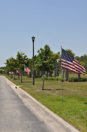 Flags flying along the roadway in celebration of veterans in a 55+ retirement community in Orlando Florida on a sunny spring day