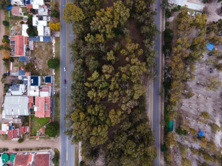 Carretera vista desde el aire separada verticalmente por árboles y casas. Foto de alta calidad
